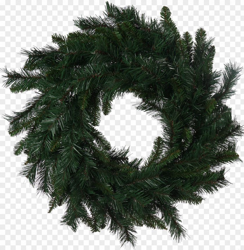 Tree Wreath Spruce Pine Christmas PNG