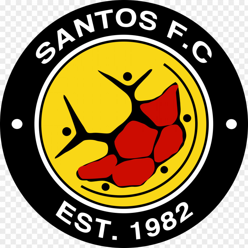 Football Santos F.C. Cape Town Mamelodi Sundowns Premier Soccer League FC PNG