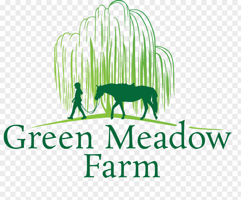 Green Meadow Lancaster County Community Foundation Organization Logo PNG