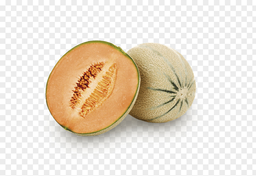 Ingredient Honeydew Cantaloupe Galia Melon IStock PNG