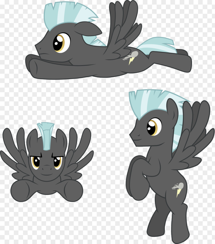 Pegasus Vector Rainbow Dash Stallion Pony Fluttershy Horse PNG