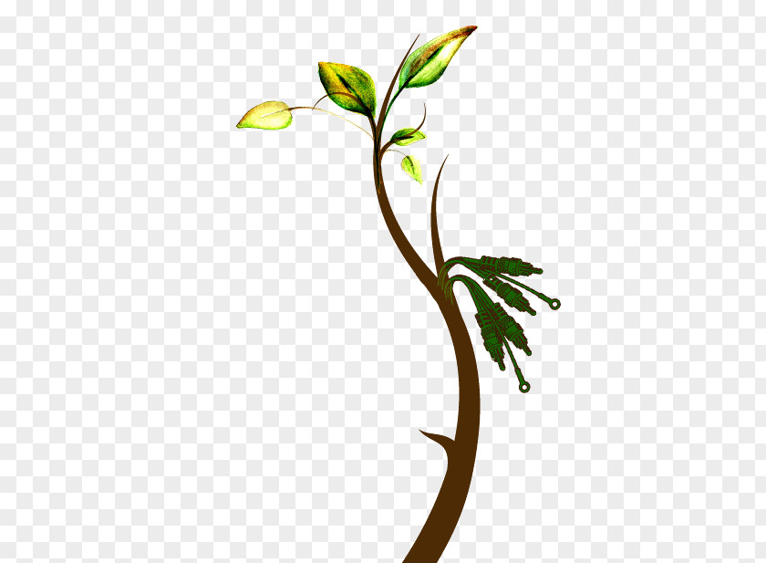 Ramas Twig Picture Frames Window Branch Clip Art PNG
