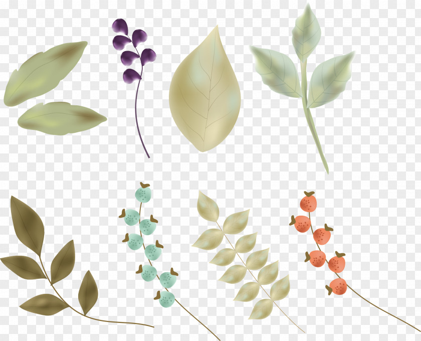 Vector Hand-painted Leaves Petal Leaf Flower Illustration PNG