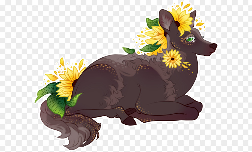 Dog Canidae Flowering Plant Mammal PNG