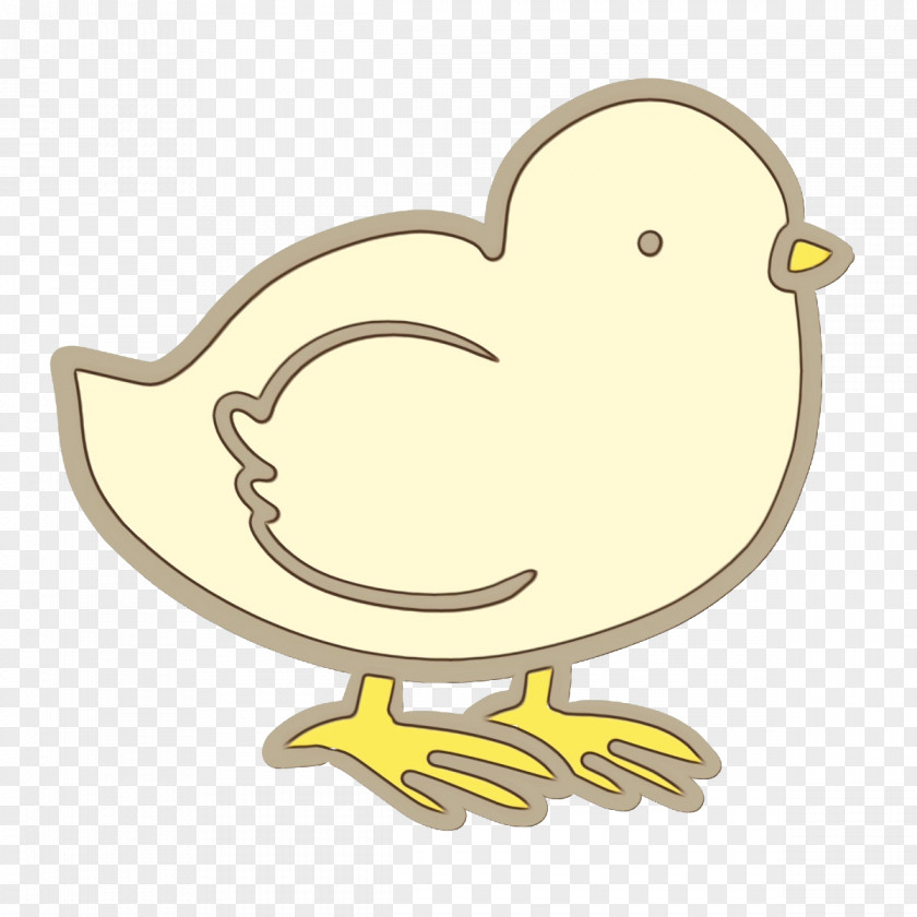 Duck Chicken Yellow Beak Cartoon PNG