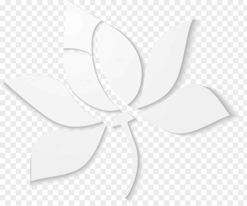 Flat White Lotus Leaf Angle PNG