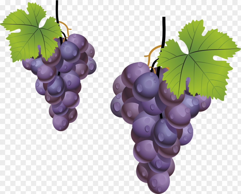 Grape,Purple Grapes,fruit Grape Leaves Kyoho Fruit PNG