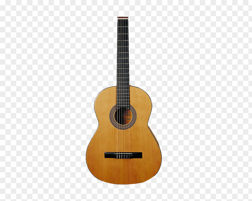 Guitar Musical Instrument PNG musical instrument clipart PNG