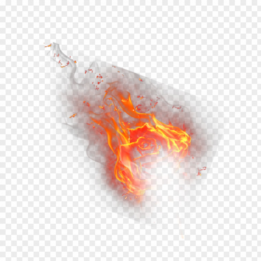 Tiger Flame Fire Image Heat PNG