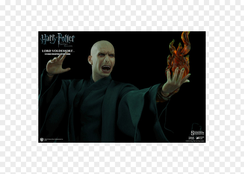 Harry Potter Lord Voldemort And The Deathly Hallows Philosopher's Stone Professor Albus Dumbledore PNG