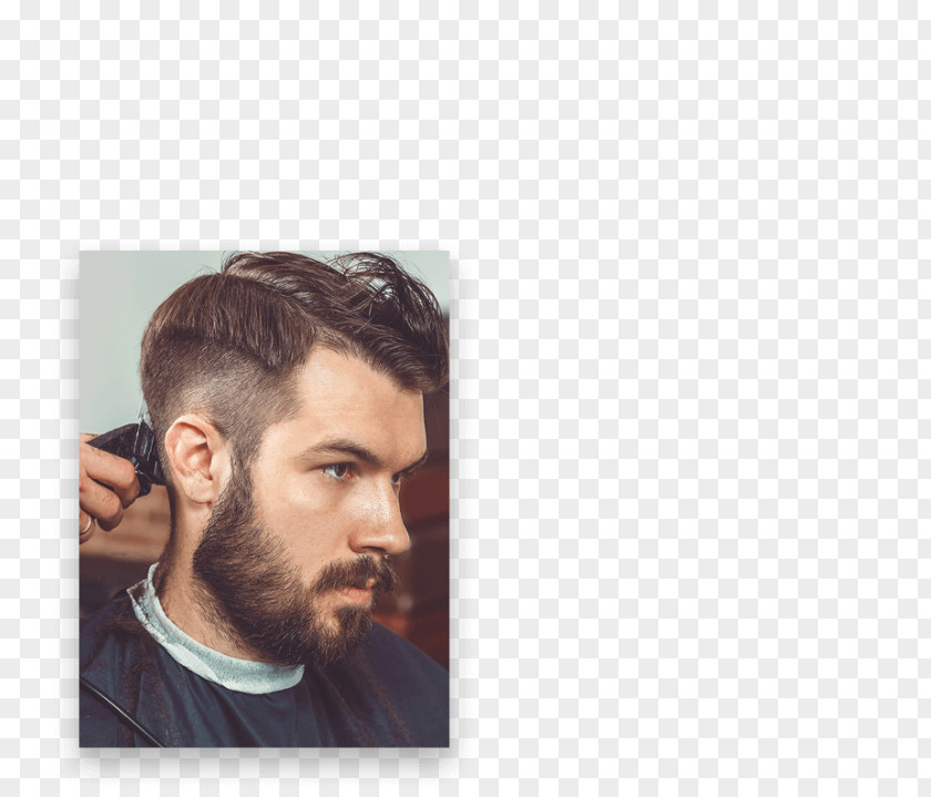 Model Hair Clipper Hairstyle Undercut Barber Cosmetologist PNG
