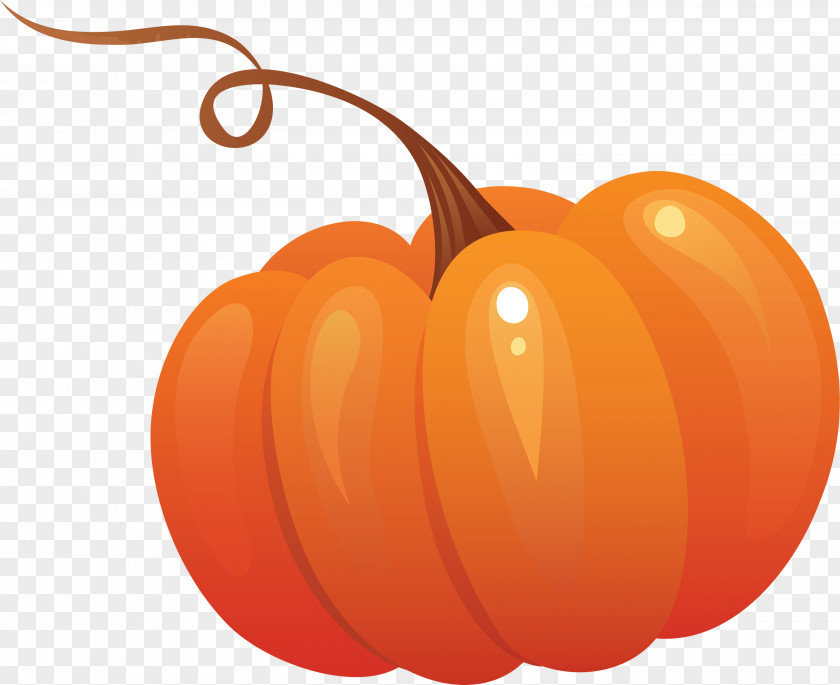 Pumpkin Vegetable Clip Art PNG