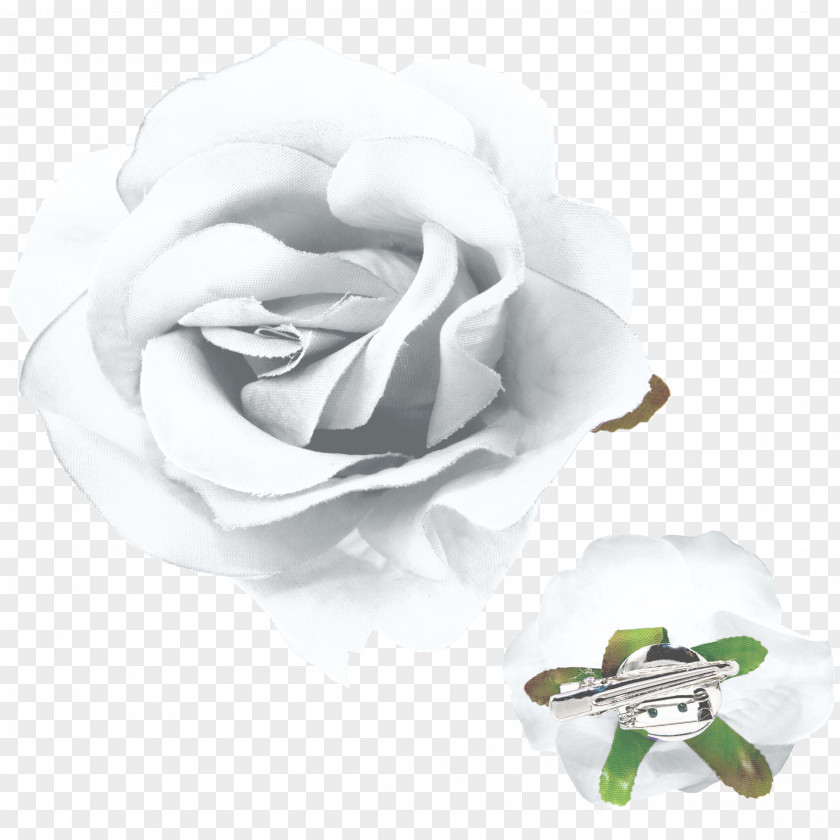 Rose Garden Roses Cut Flowers Petal PNG