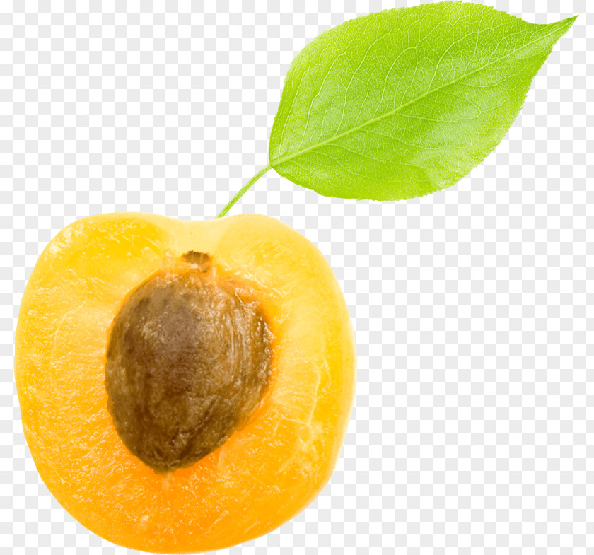 Apricot Kernel Vegetable Oil Vegetarian Cuisine Food PNG