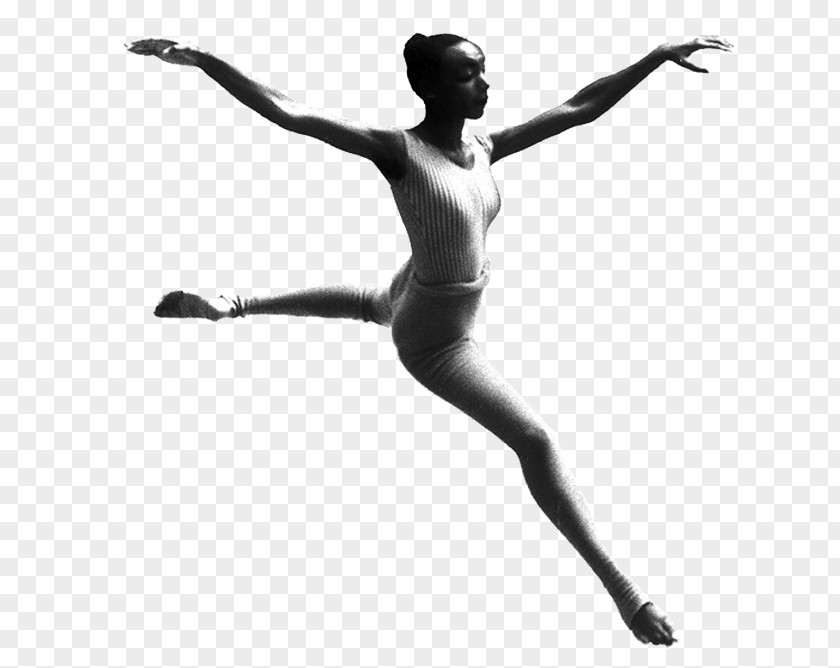 Ballet Modern Dance Choreographer Contemporary Dancer PNG