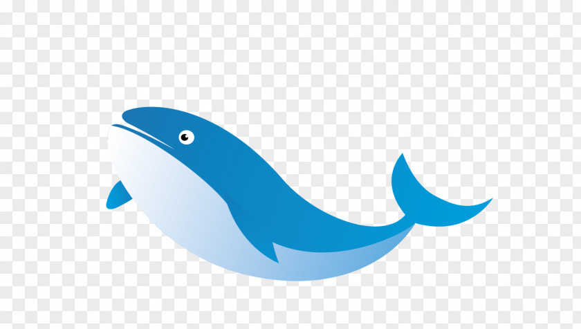 Creative Vector Whale Dolphin Logo Turquoise Illustration PNG
