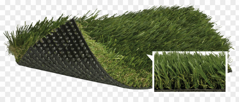 Lawn Artificial Turf Fescues Thatch Polypropylene PNG
