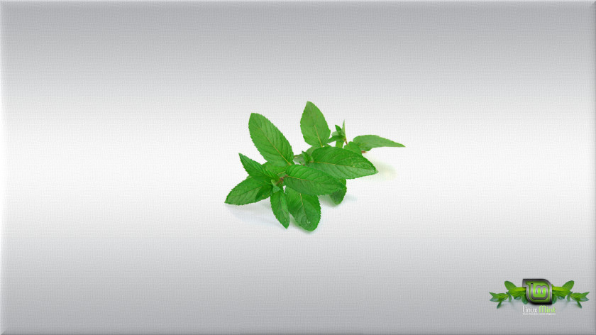 Mint Linux Plant Herb Wallpaper PNG