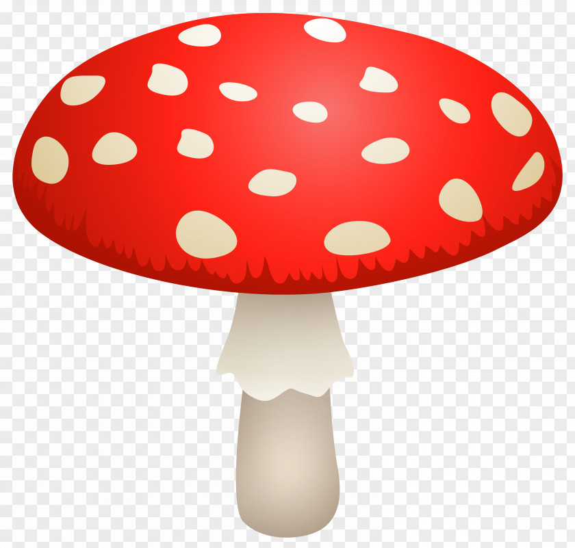Mushroom Amanita Muscaria Edible Clip Art PNG