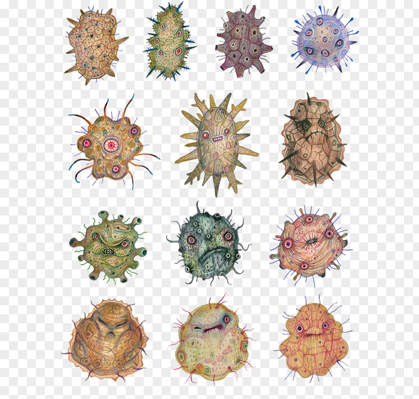 Nature，sea Animals，marine Microorganisms Artist Creative Industries Printmaking PNG