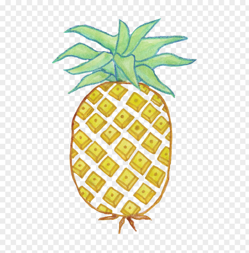 Pineapple Animation Collage Clip Art PNG