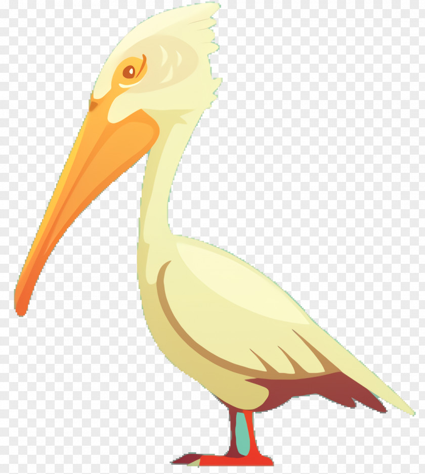 Wildlife Ibis Bird Cartoon PNG