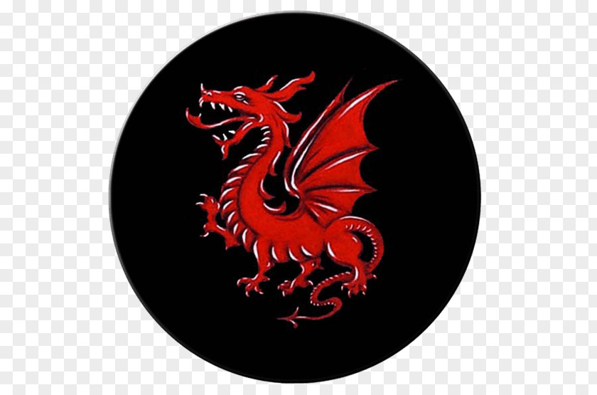 Circle Shield Welsh Dragon Wales Language Medieval Fantasy PNG