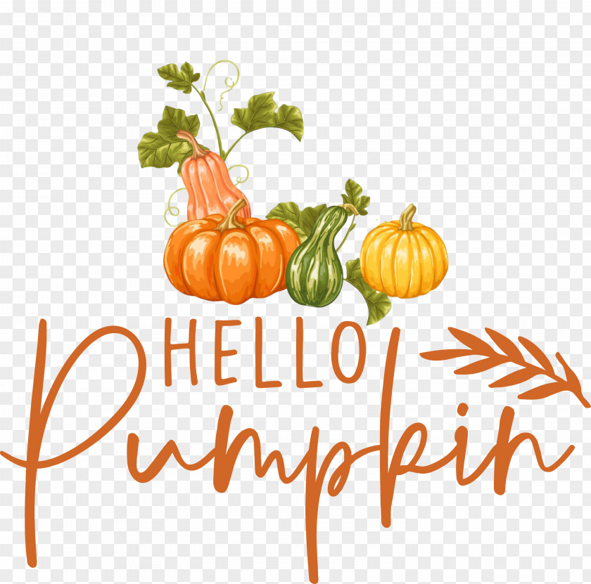 Hello Pumpkin Autumn Thanksgiving PNG