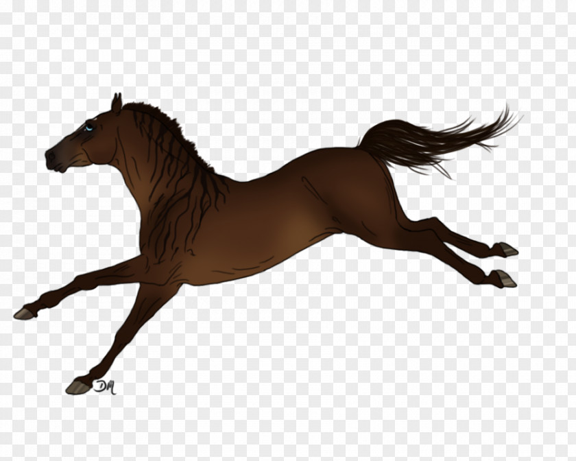 Horsemanship Mane Mustang Stallion Foal Colt PNG