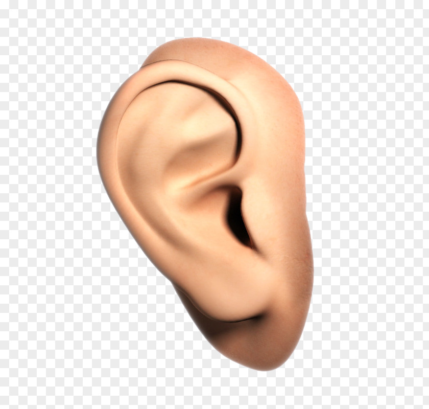 Humannose Hearing Clip Art PNG