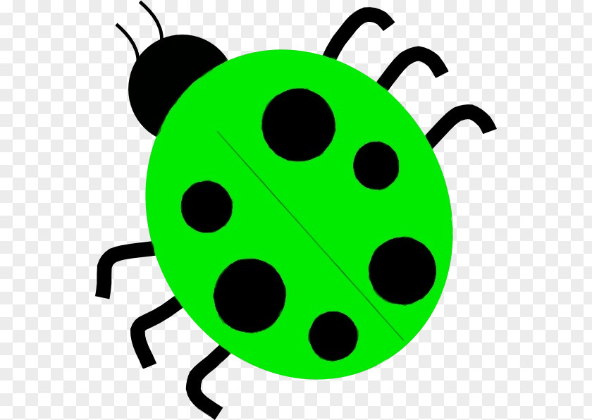 Beetle Insect Green Clip Art PNG