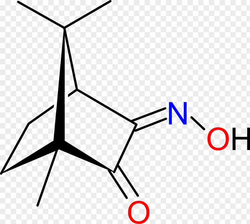 Camphor Bornane-2,3-dione Camphorquinone 3-oxime Chemistry Chemical Compound PNG