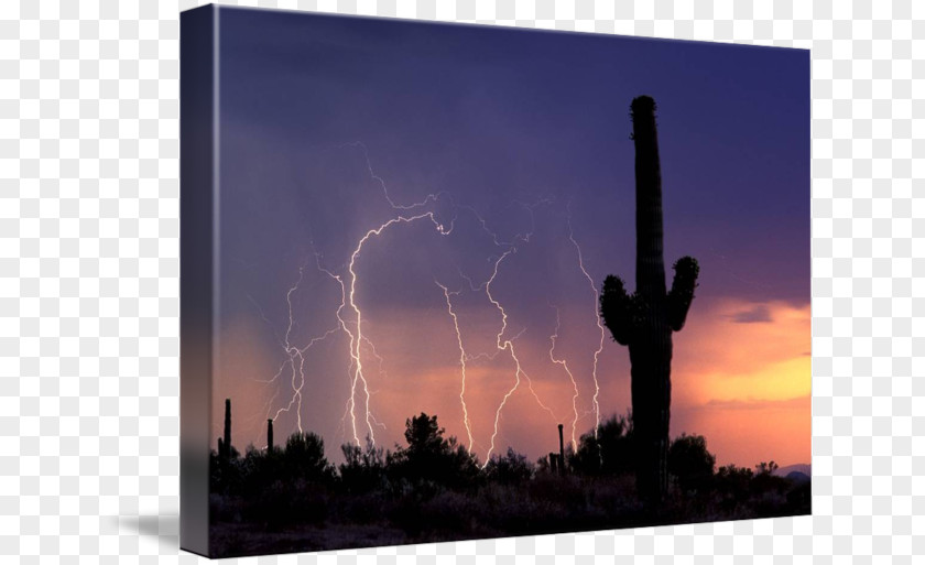 Energy Sonoran Desert Sky Arizona Landscape PNG