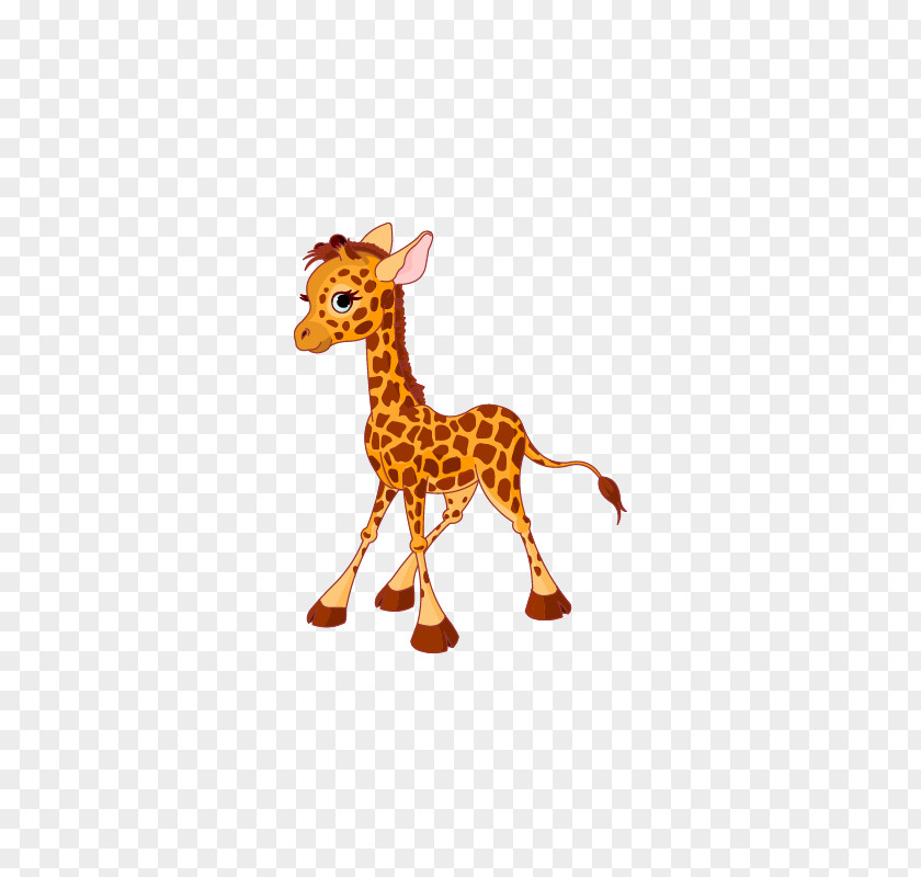 Giraffe Animal Illustrations Clip Art PNG