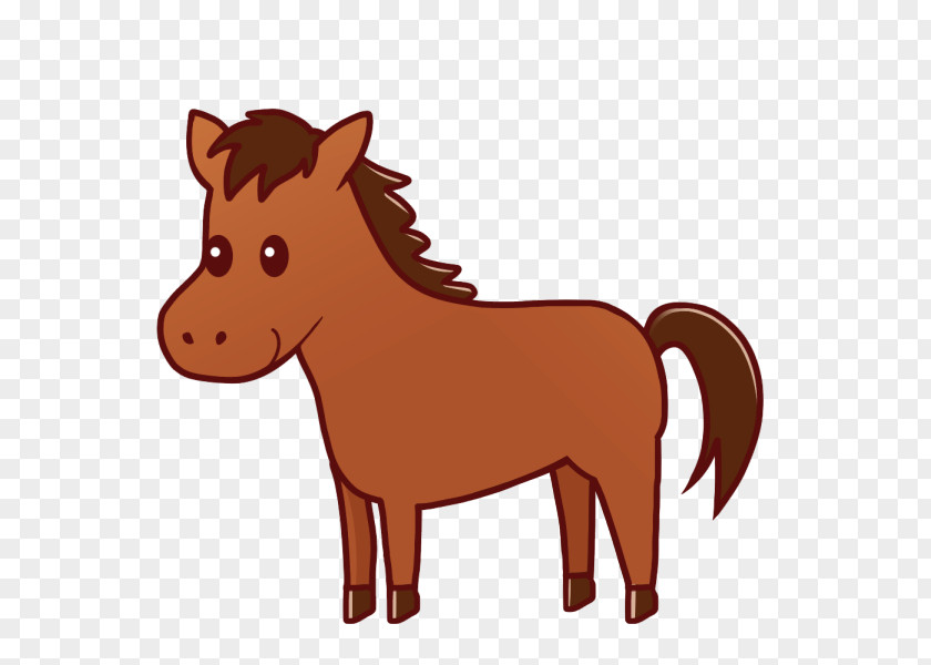 Mustang Pony Foal Stallion Colt PNG