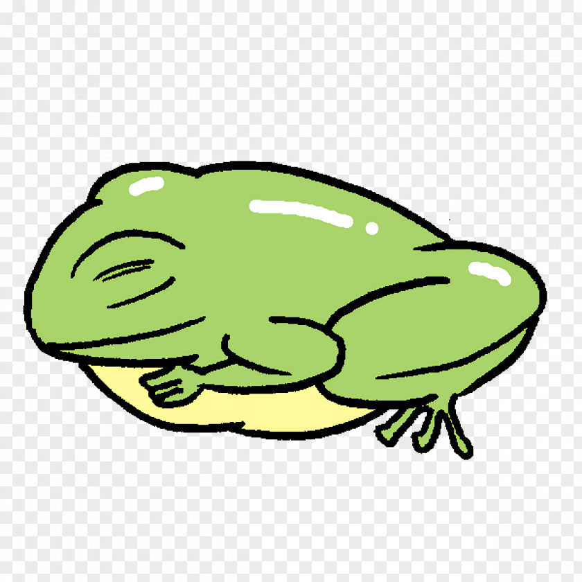 Toad True Frog Line Art Tree Frogs PNG