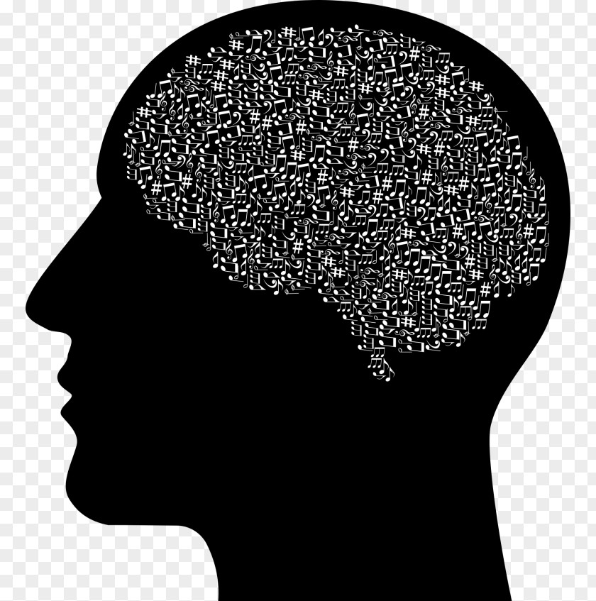 Brain Clip Art Human Head Skull PNG