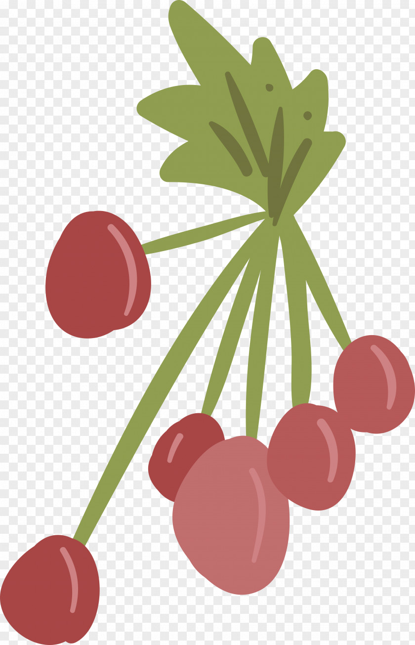 Cartoon Berries Frutti Di Bosco Cherry Berry PNG