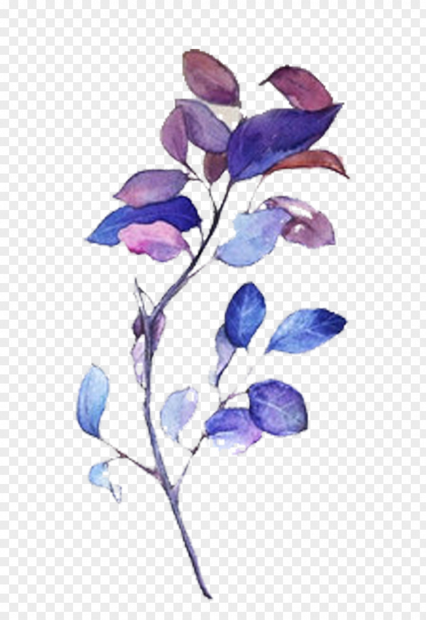 Cool Colors Leaves Picture Material Tints And Shades Watercolor Painting PNG