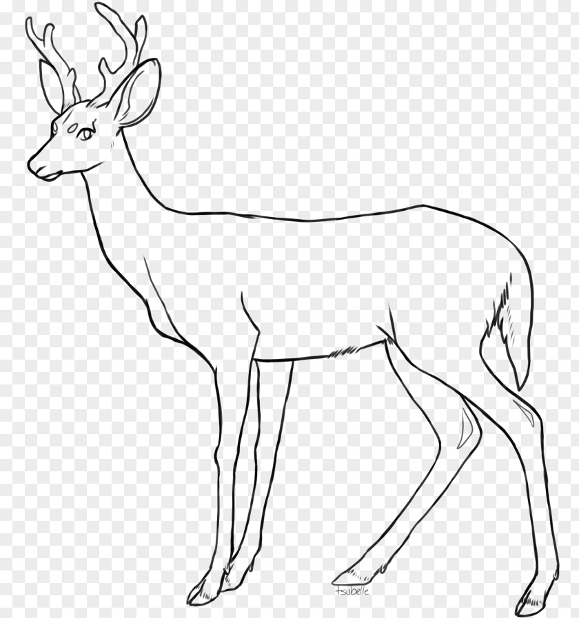 Free Deer Pictures Red Drawing Coloring Book Clip Art PNG