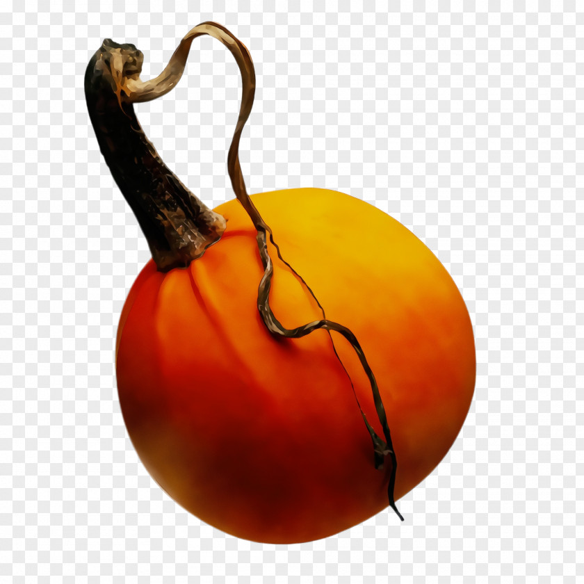 Gourd Fruit Orange PNG