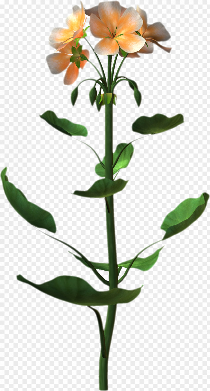 Plant Art Clip PNG