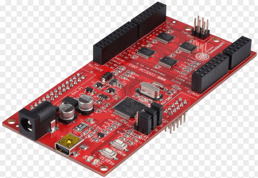 Raspberry Electronics Electronic Engineering Shanghai Listen Information Technology Co., Ltd. Microcontroller Circuit PNG