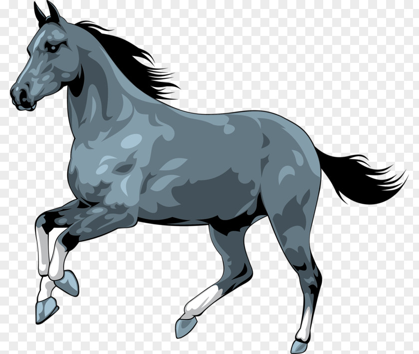 Running Horse Royalty-free Clip Art PNG