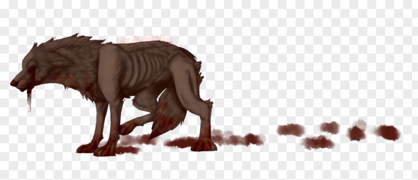 Sleep Dog Big Cat Canidae Snout PNG