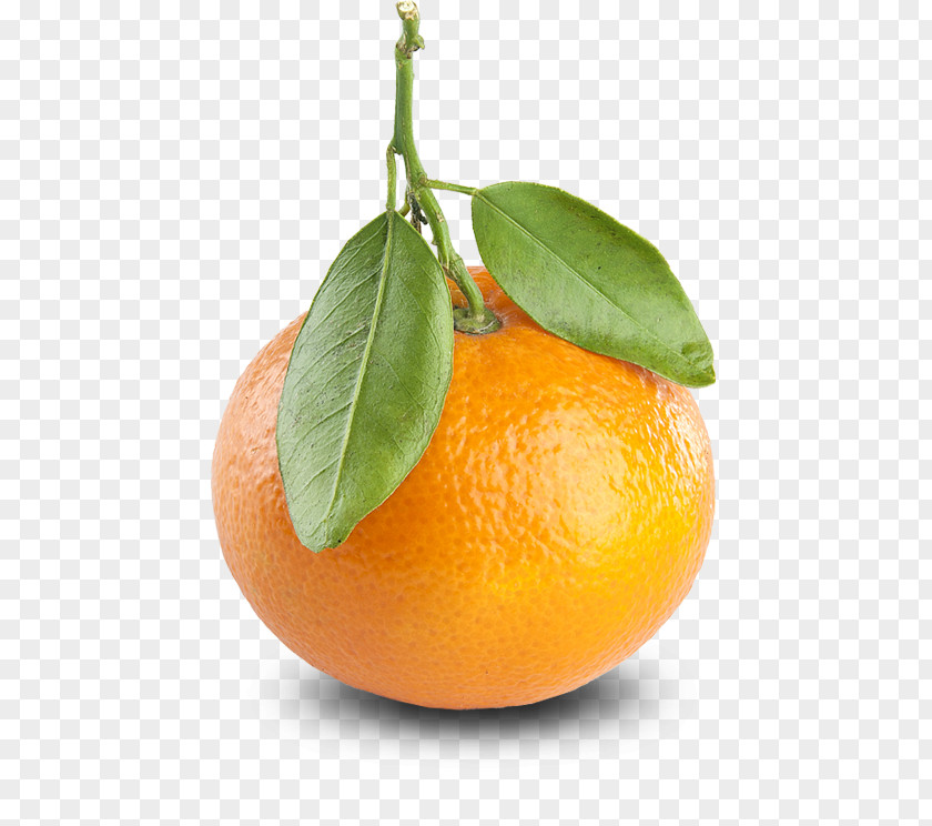 Tangerine Mandarin Orange Clementine Fruit Color PNG