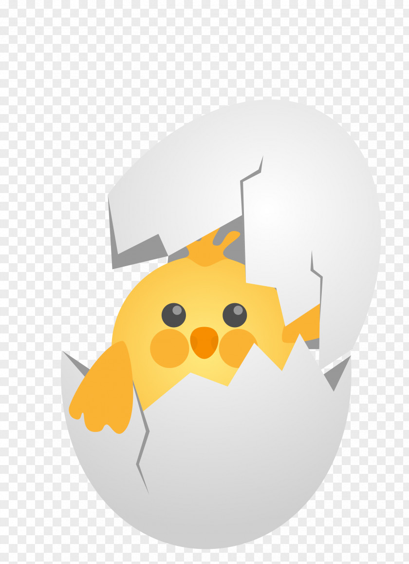 Vector Yellow Easter Broken Shell Bubble Chicken Cartoon Eggshell PNG