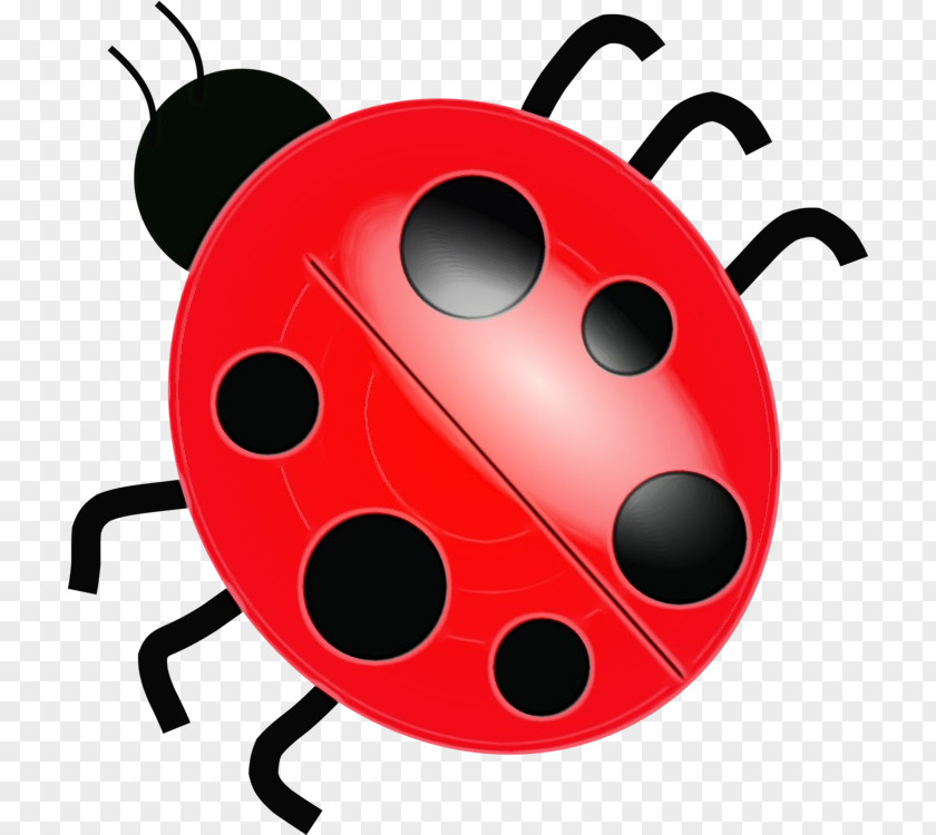 Beetle Ladybug PNG