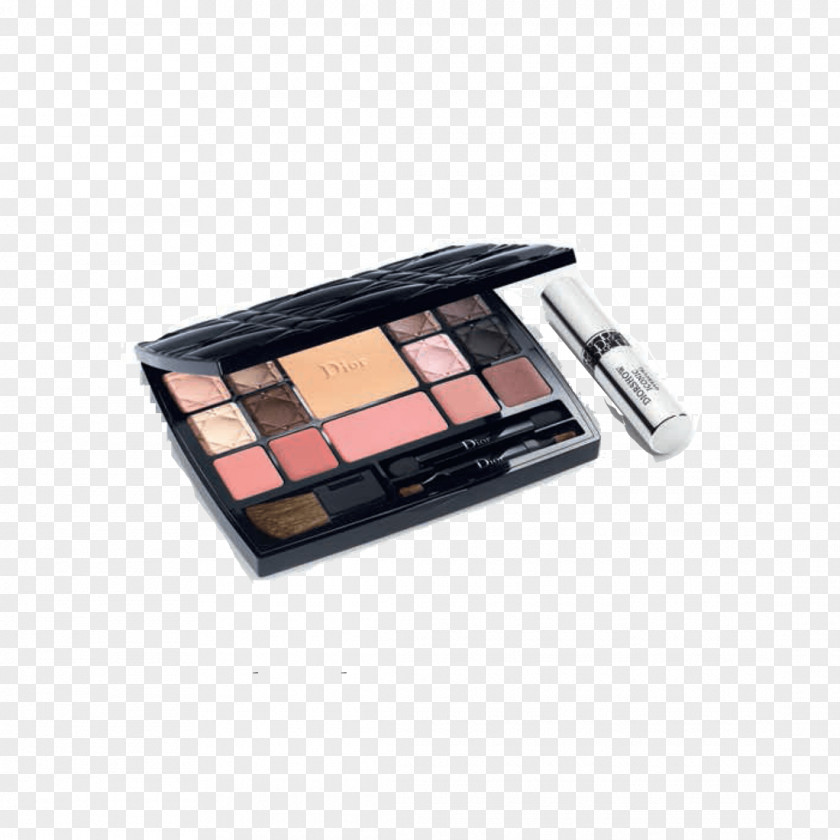 Christian Dior SE Cosmetics Haute Couture Eye Shadow YSL Palette PNG