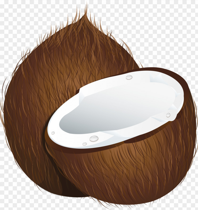 Coconut Image Water Milk Clip Art PNG